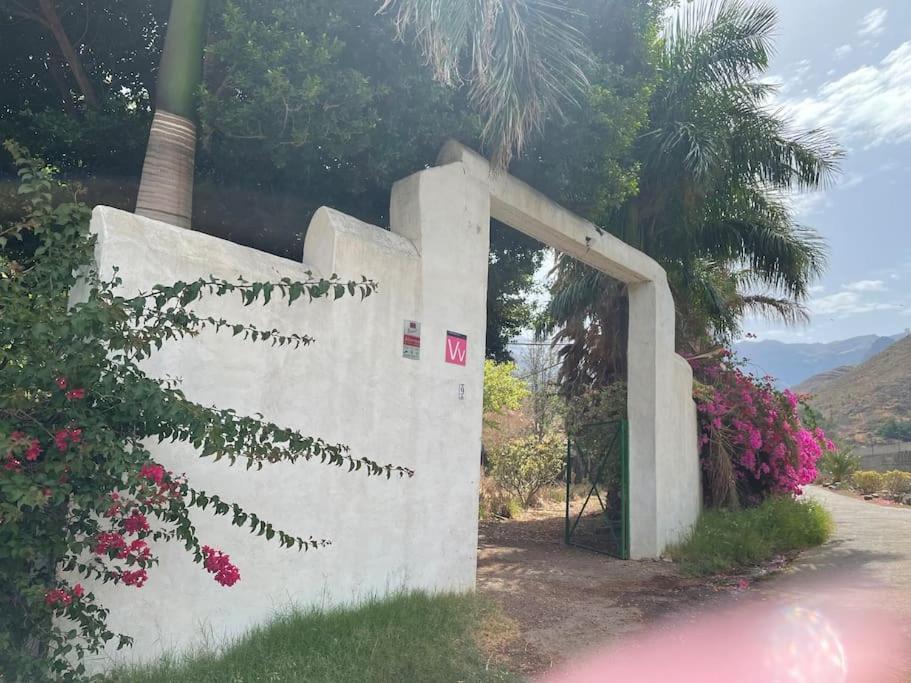 La Casa Del Molino De Viento Villa Agaete  Exterior photo